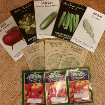 Simple Steps To Organizing Your Garden Seeds