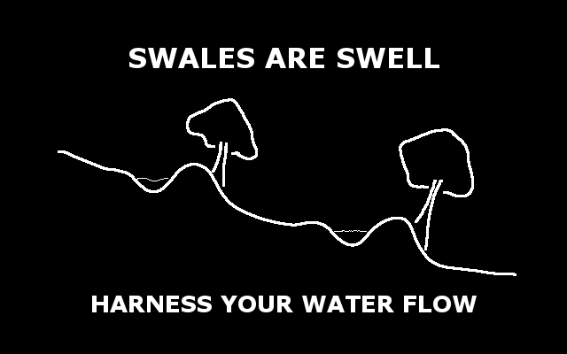 Harness Water Flow In Your Lot With Earthwork Swales
