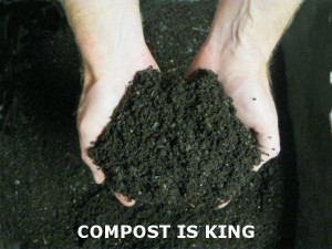 compost is king