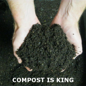 Cold Weather Composting – A 7 Step Plan