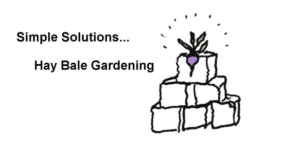 hay bale gardening