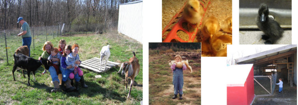 kids with farm animals