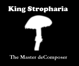 king stropharia final