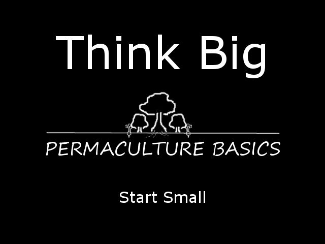 Permaculture Basics – Think Big, Start Small