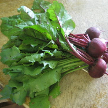 Beet Bunch